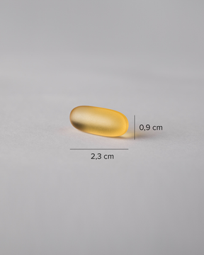 Super Omega-3 TG Gastro-resistant | 90 caps